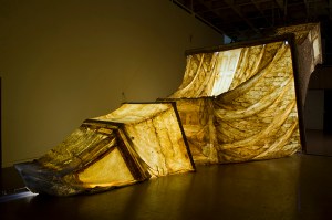 photo credit Steve Farmer